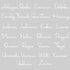 Personalized Birth Statistics Keepsake Box - Grey